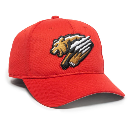 FSYBS GRIZZLIES HAT