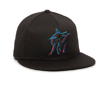 FSYBS MARLINS HAT